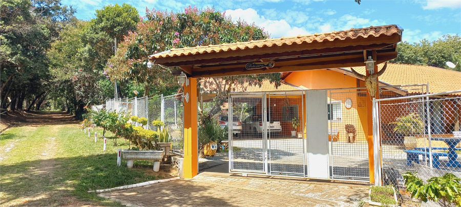 Foto REO1086681