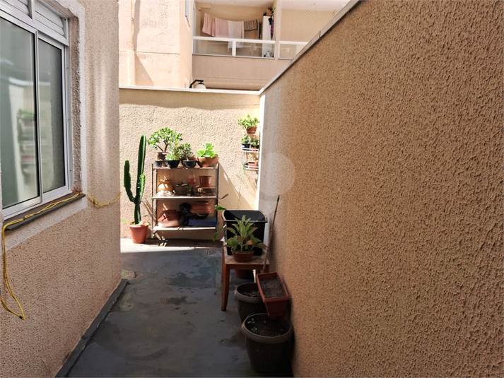 Foto REO1086683