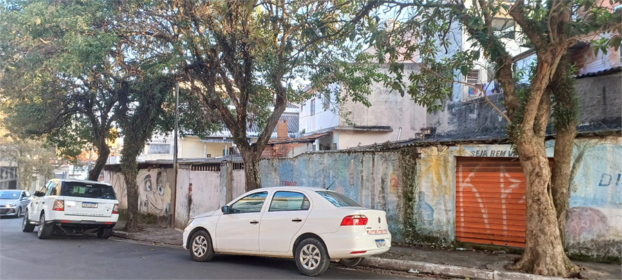 Foto REO1086690