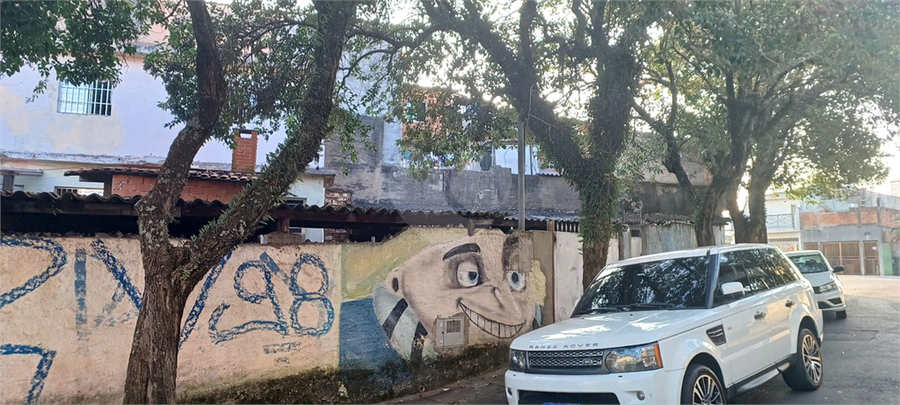 Foto REO1086690