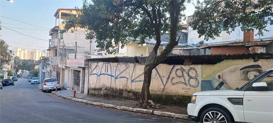 Foto REO1086690