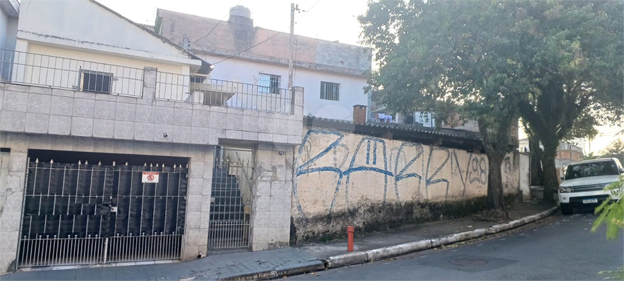 Foto REO1086690