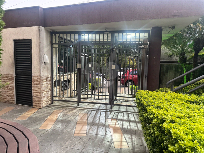 Foto REO1086707