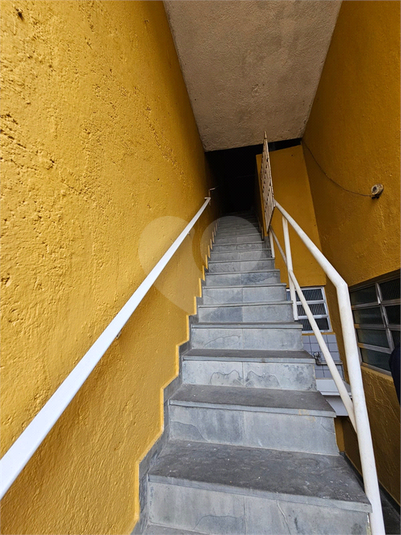 Foto REO1086722