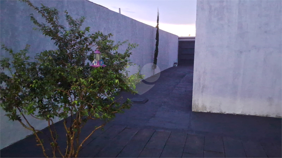 Foto REO1086741
