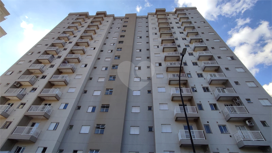 Foto REO1086750