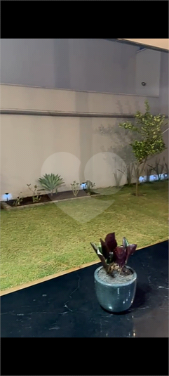 Foto REO1086755