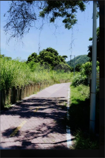 Foto REO1086764
