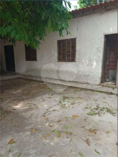 Foto REO1086764