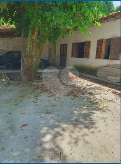 Foto REO1086764