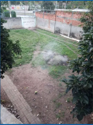 Foto REO1086764