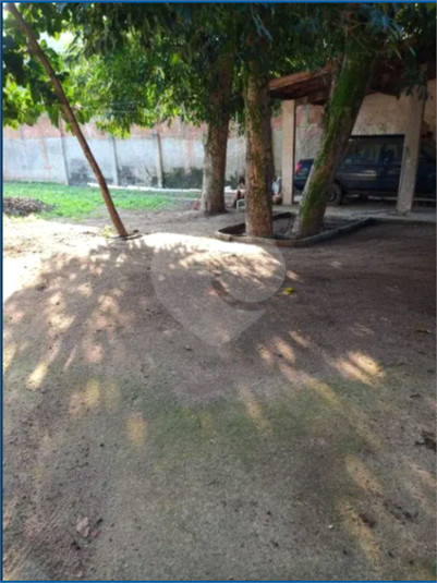Foto REO1086764