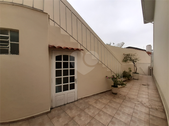 Foto REO1086767