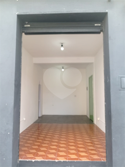 Foto REO1086782