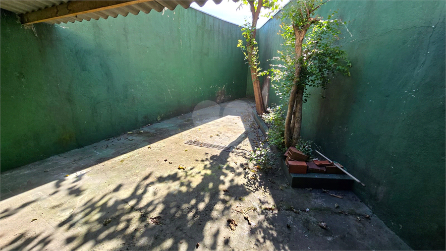 Foto REO1086788