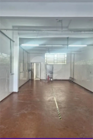 Foto REO1086788