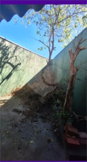 Foto REO1086788