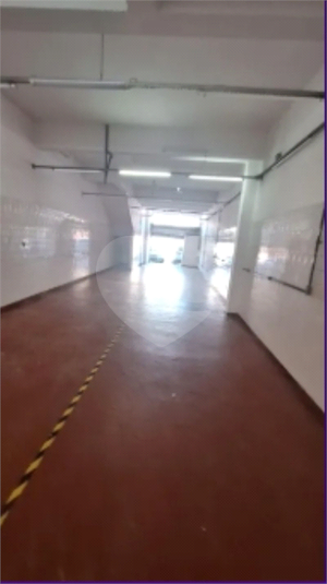 Foto REO1086788