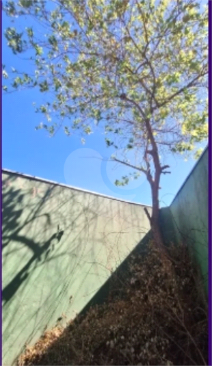 Foto REO1086788