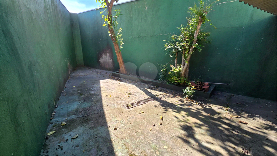 Foto REO1086788