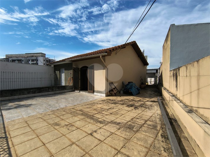 Foto REO1086793
