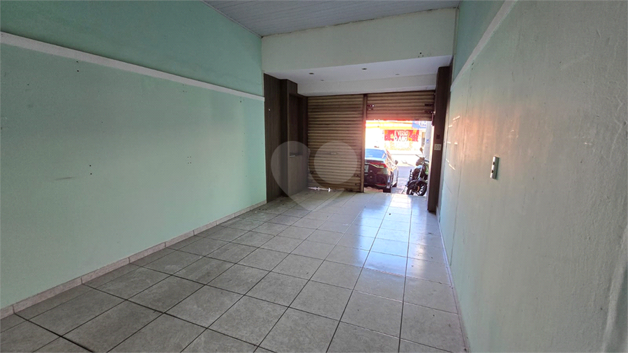 Foto REO1086798