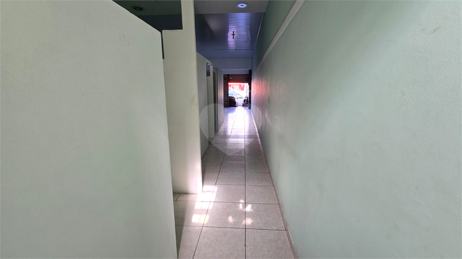 Foto REO1086798