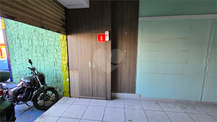Foto REO1086798