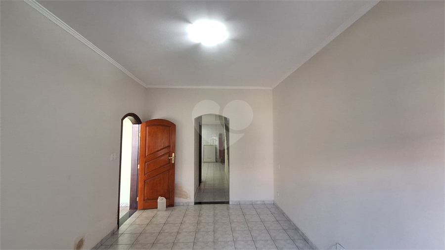 Foto REO1086809