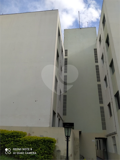 Foto REO1086816