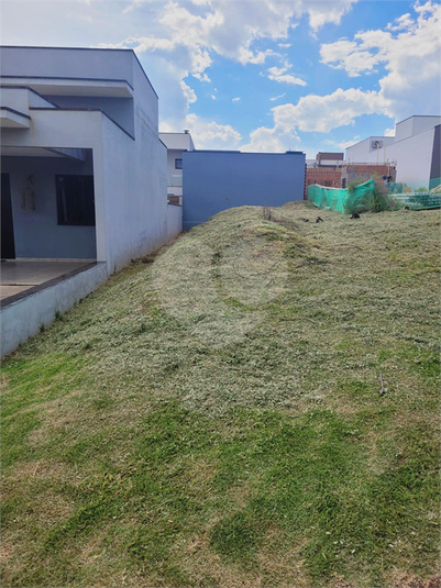 Foto REO1086819