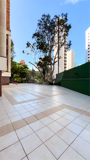 Foto REO1086821