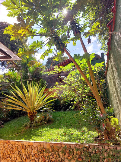 Foto REO1086824
