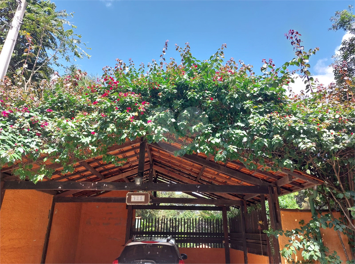 Foto REO1086824
