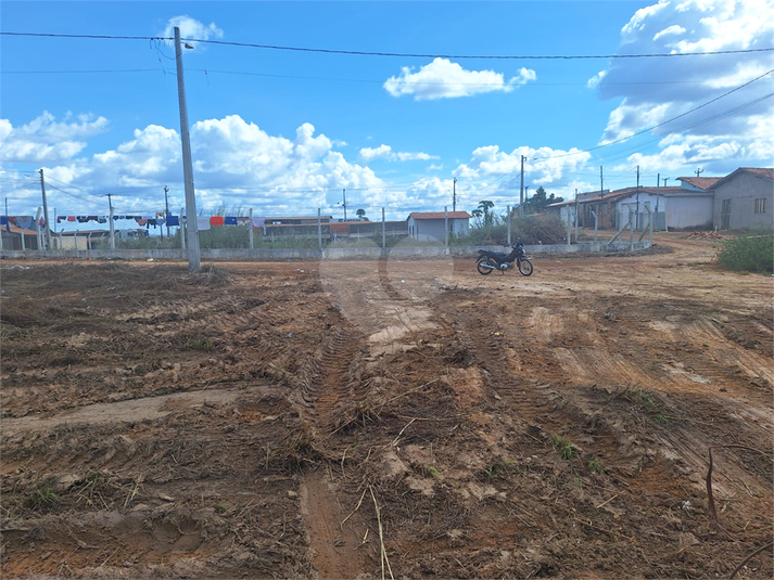 Foto REO1086828