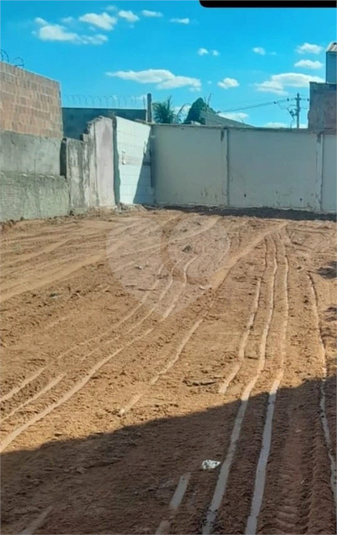 Foto REO1086832