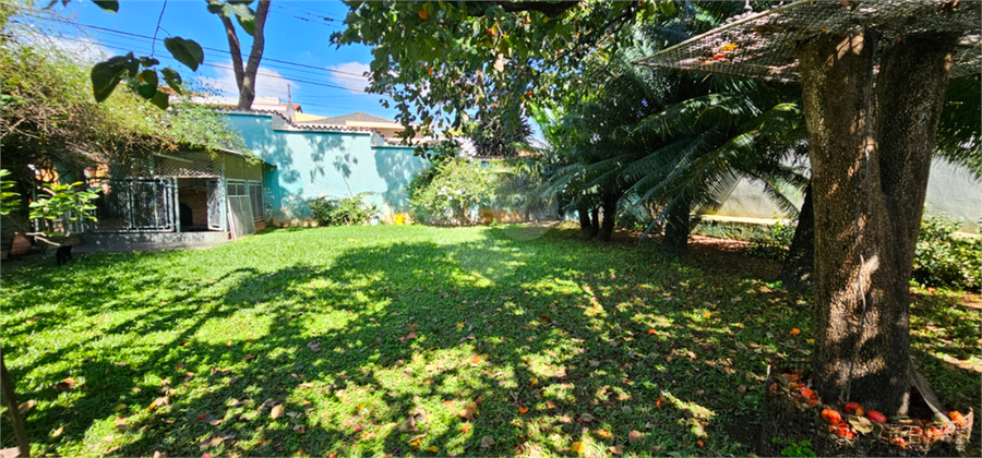Foto REO1086836