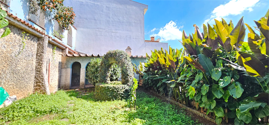 Foto REO1086836