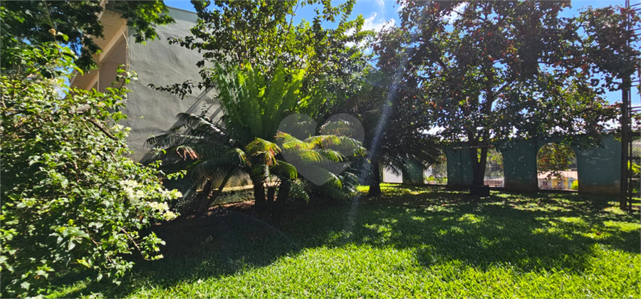 Foto REO1086836