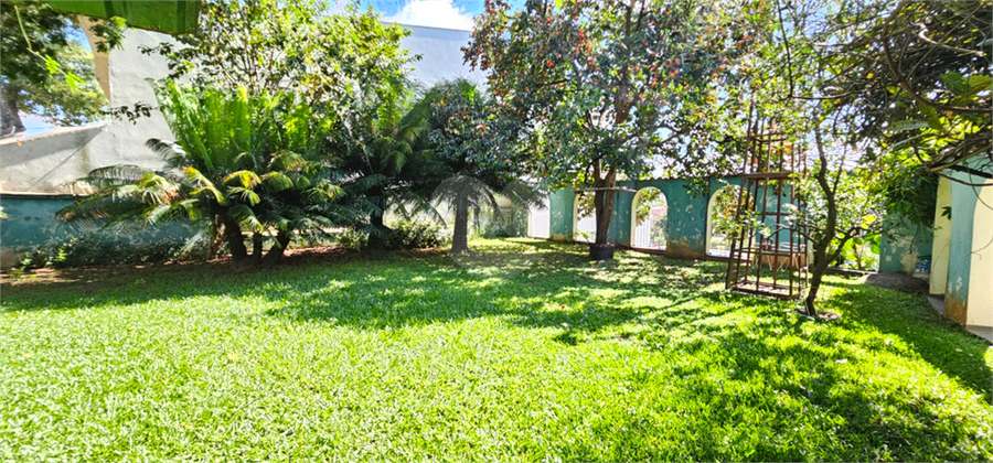 Foto REO1086836