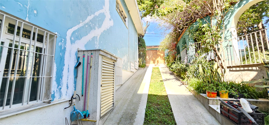 Foto REO1086836