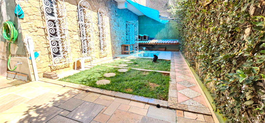 Foto REO1086836
