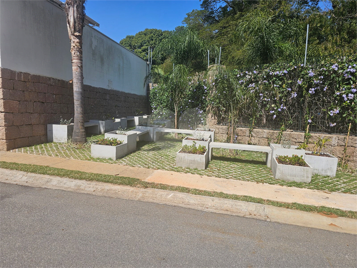 Foto REO1086842