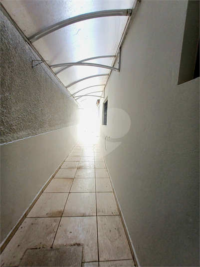 Foto REO1086860