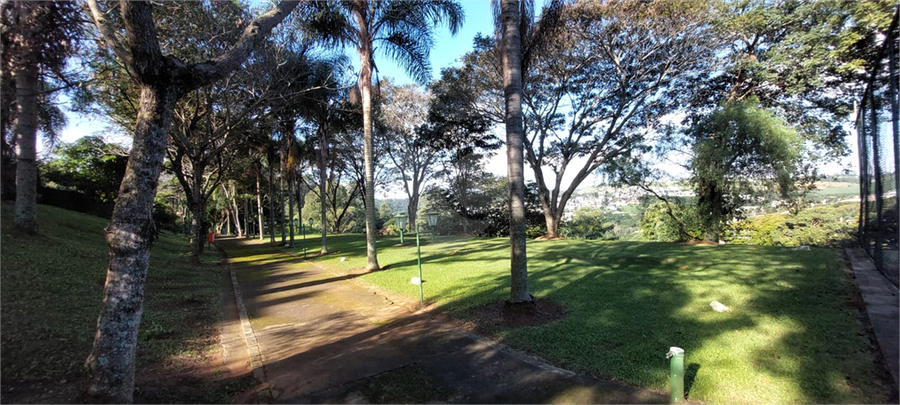 Foto REO1086873