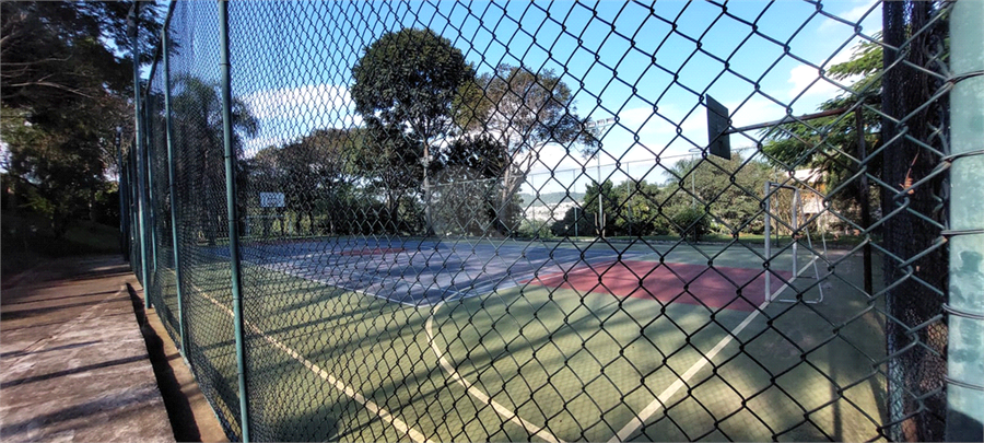 Foto REO1086873