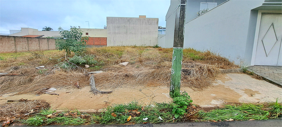 Foto REO1086883