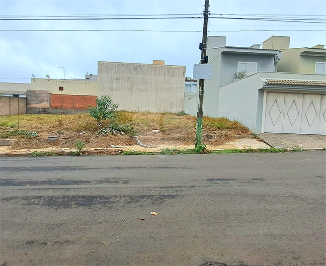 Foto REO1086883