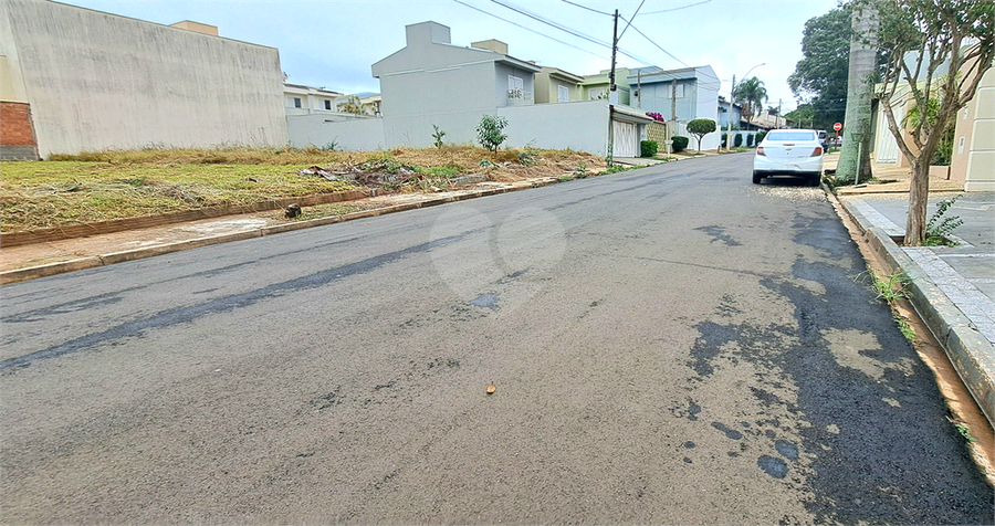 Foto REO1086883