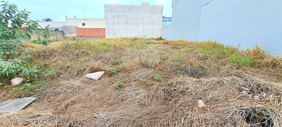 Foto REO1086883